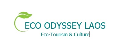 whatsapp image 2026 02 17 at 13.33.05