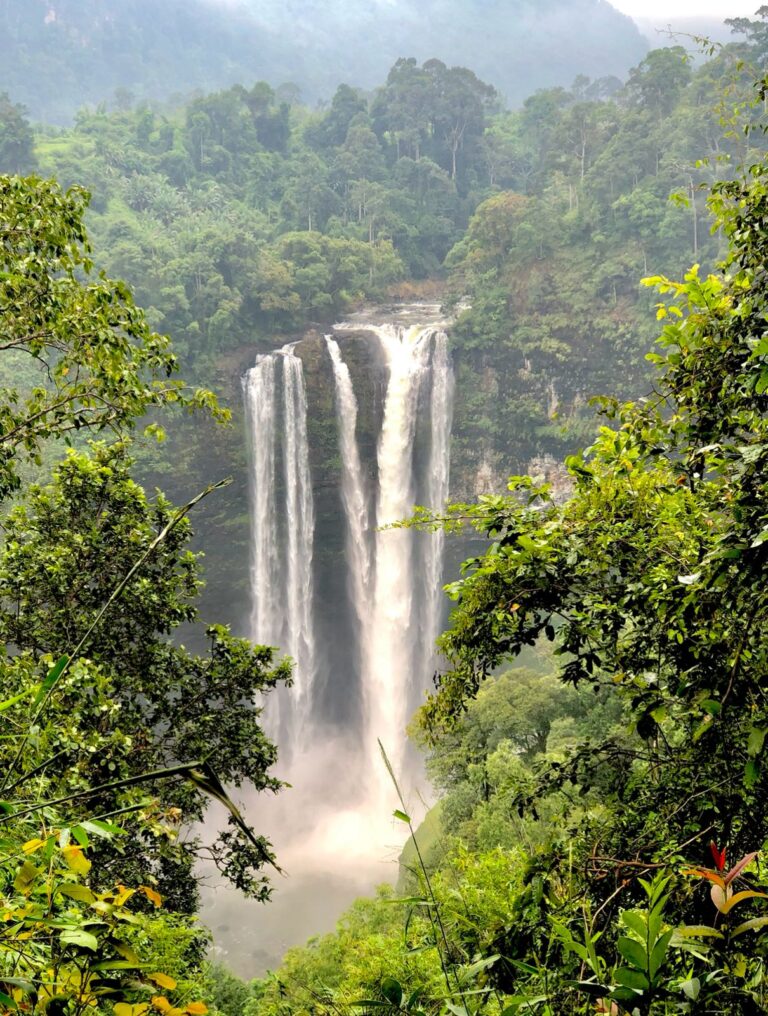 WhatsApp Image 2025-09-26 at 08.04.42 (2) – Copy